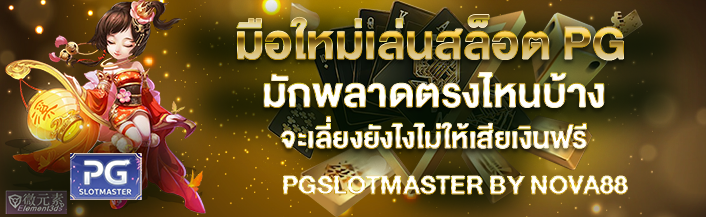 มือใหม่เล่นสล็อต